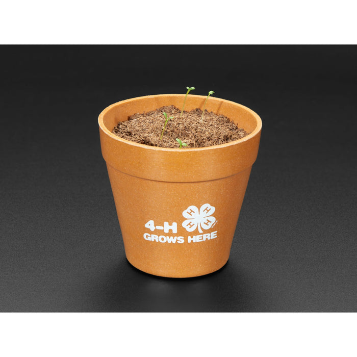 4-H Grow Your Own Clovers Kit