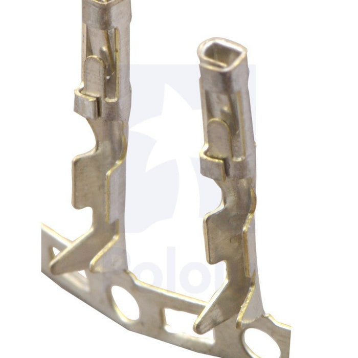 Female Crimp Pins for 0.1 Housings 100-Pack