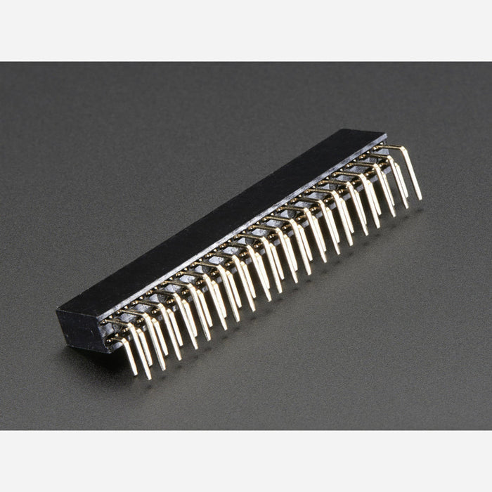 0.1 2x20-pin Strip Right Angle Female Header