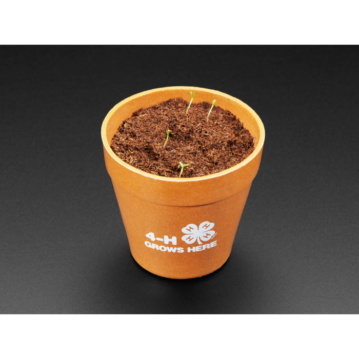 4-H Grow Your Own Clovers Kit