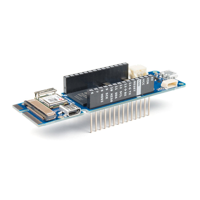 Arduino MKR Vidor 4000