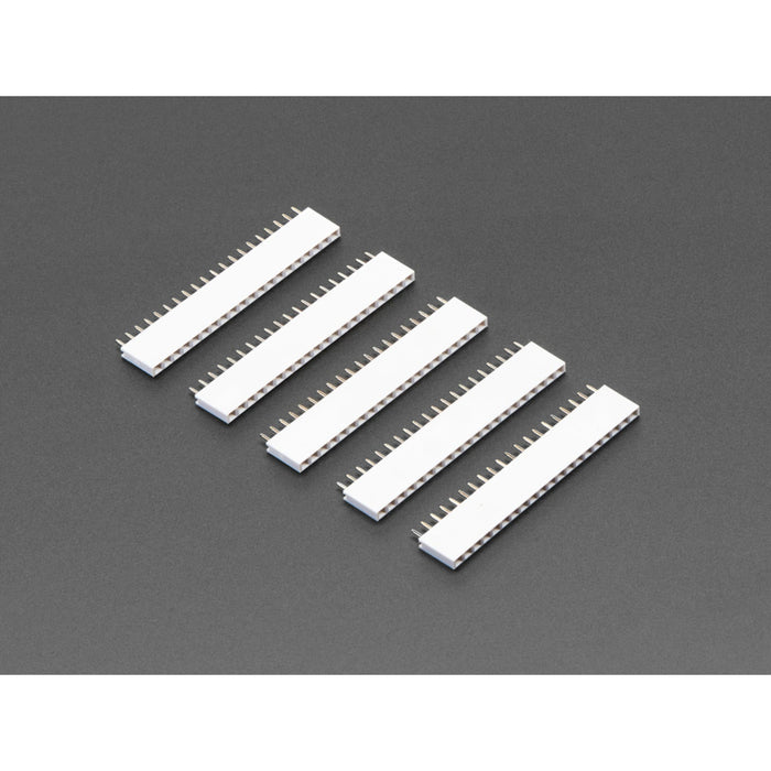 20-pin 0.1 Female Header - White - 5 pack
