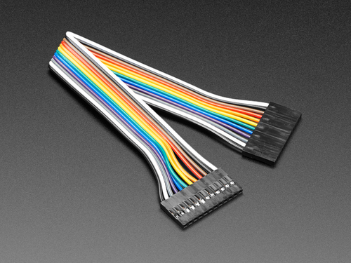 2.54mm 0.1" Pitch 12-pin Jumper Cable - 20cm long