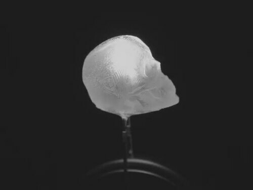 dLUX-dLITE Cool White Skull Shape LEDs 5 Pack by Unexpected Labs