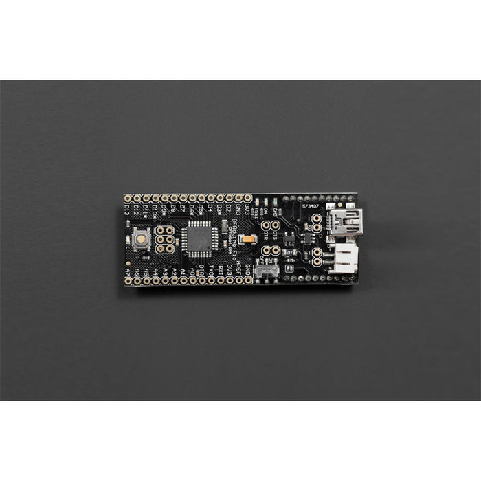 DFRduino FIO (Arduino Compatible)