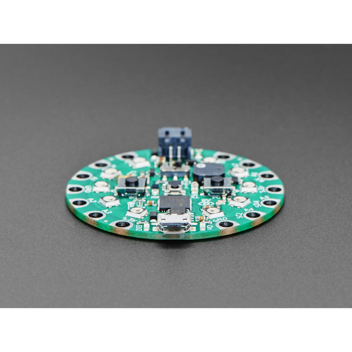 Circuit Playground Express for 4-H