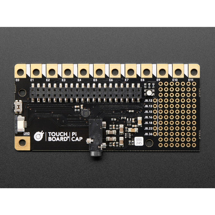 Bare Conductive Pi Cap