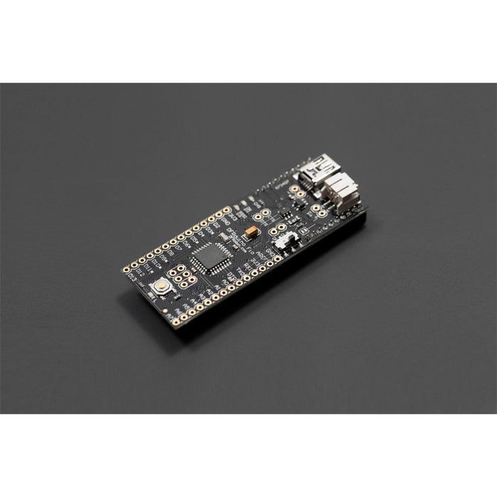 DFRduino FIO (Arduino Compatible)