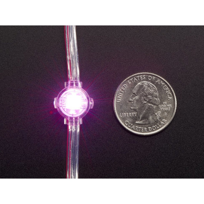 Adafruit NeoPixel LED Strand 20 LED 4 Pitch