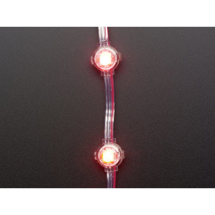 Adafruit NeoPixel LED Dots Strand - 20 LEDs at 2 Pitch
