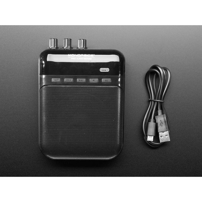 Monoprice 5-Watt Guitar Amplifier, Portable Recorder - with SD, USB and 3.5mm Audio