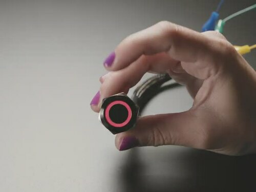 ChromaTek 19mm Rugged Momentary Metal Pushbutton with NeoPixel
