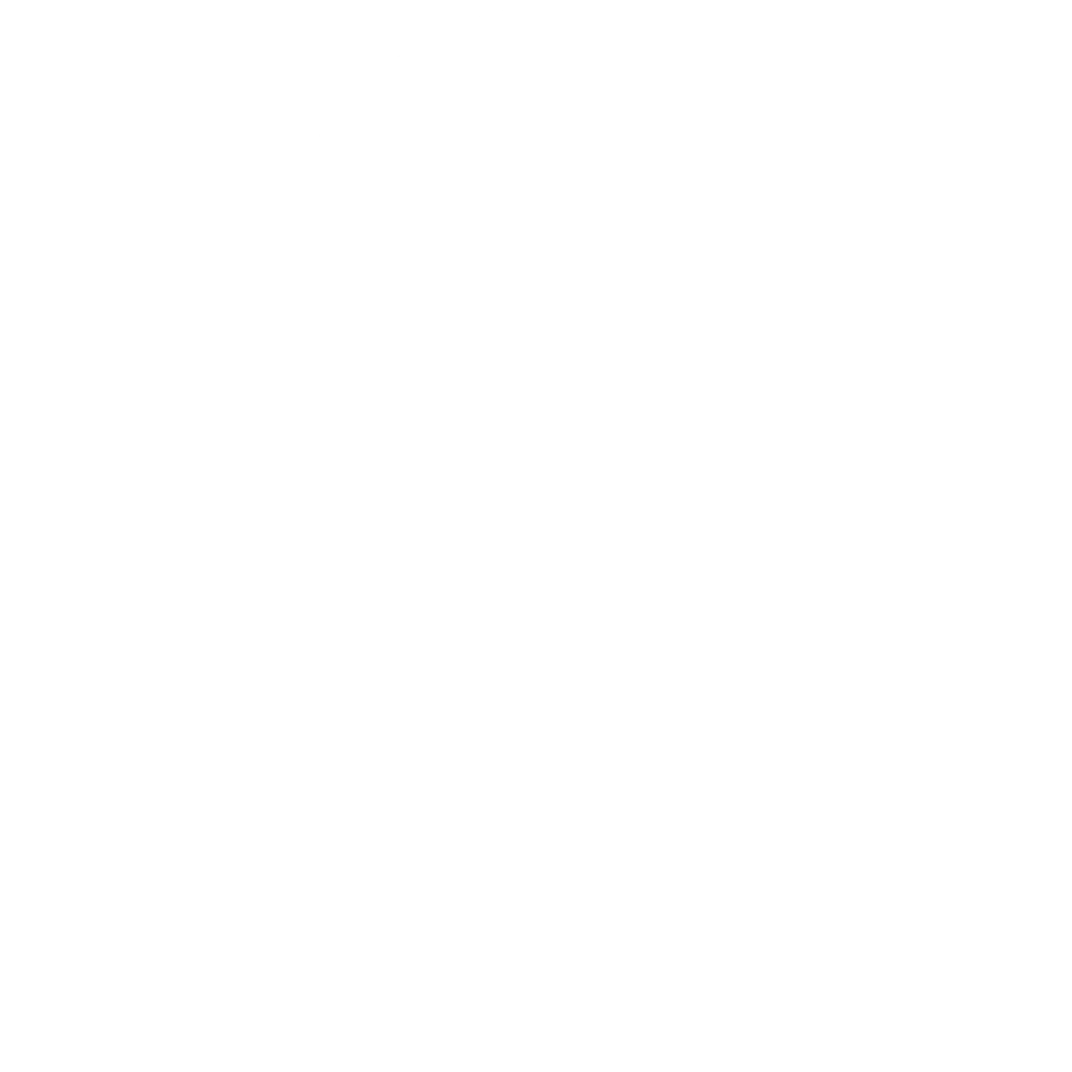 Little Bird