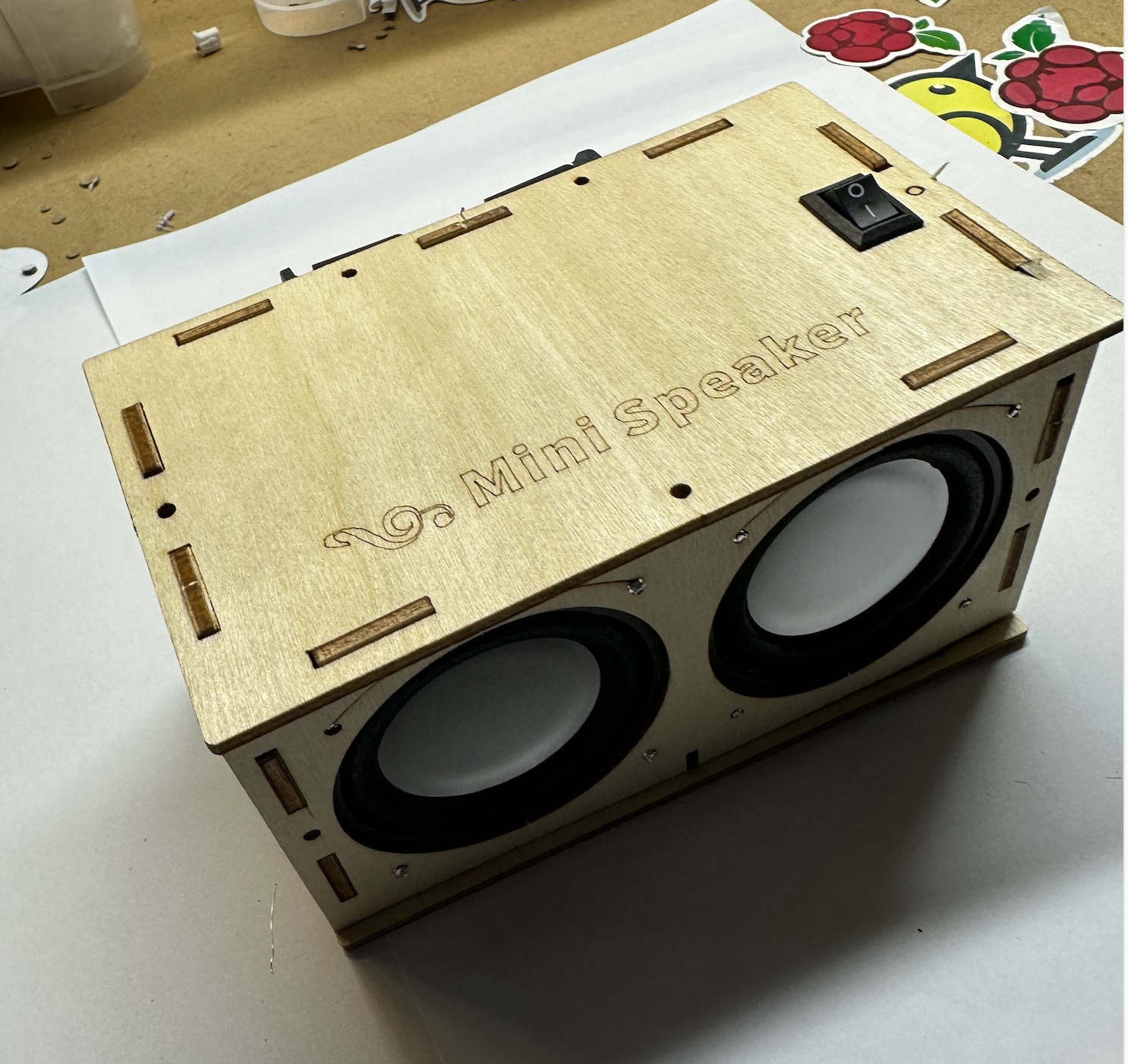 DIY Speaker Assembly Instructions