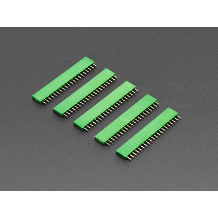 20-pin 0.1 Female Header - Green - 5 pack