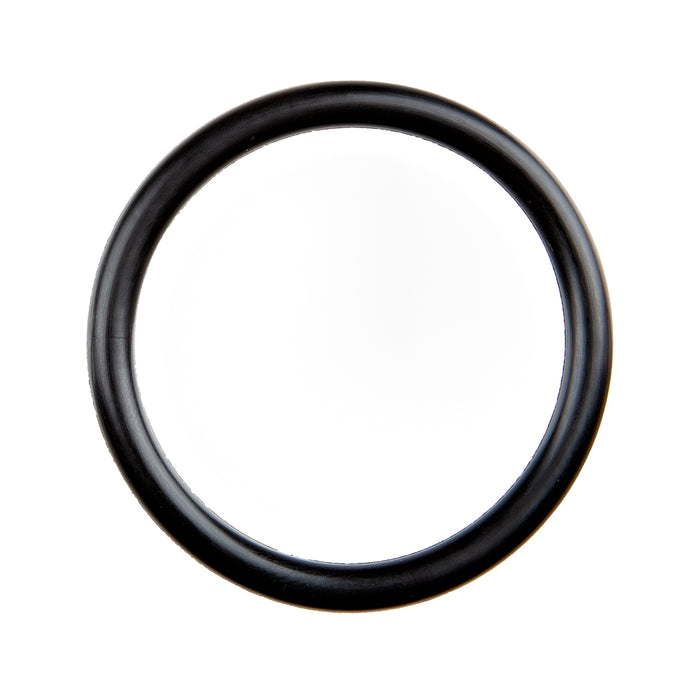 O-Ring (2-Pack)