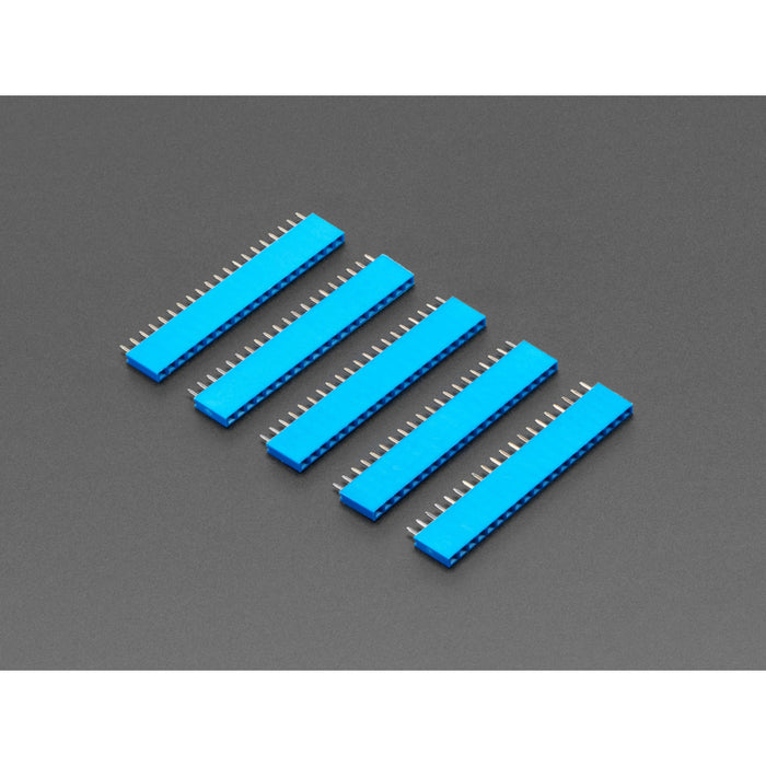 20-pin 0.1 Female Header - Blue - 5 pack
