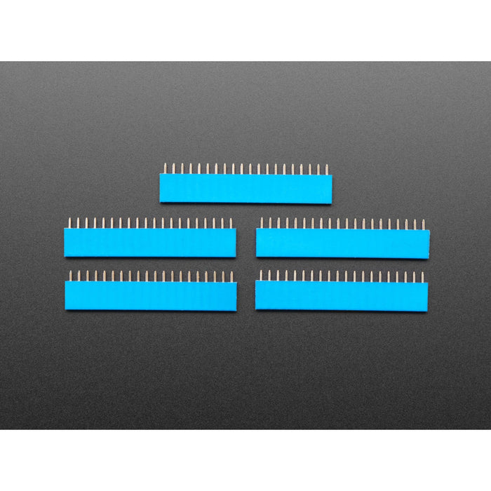 20-pin 0.1 Female Header - Blue - 5 pack