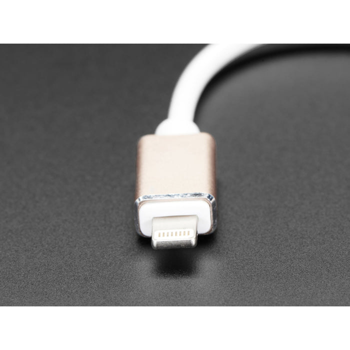 iOS Lightning to USB OTG Cable