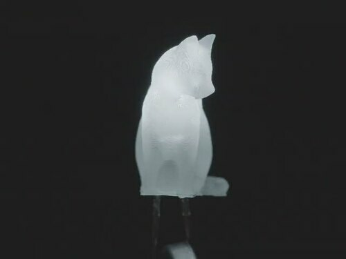 dLUX-dLITE Cool White Kitty Shape LEDs 5 Pack by Unexpected Labs