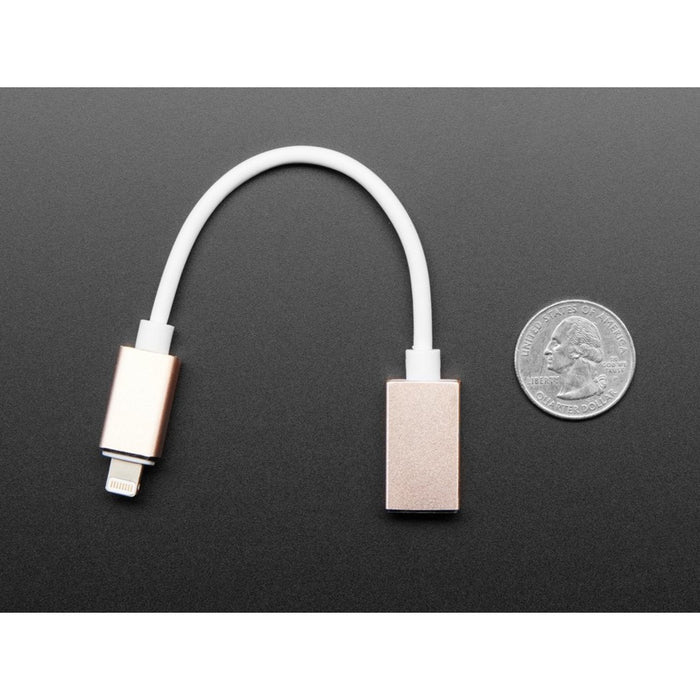 iOS Lightning to USB OTG Cable
