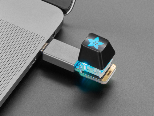 USB A Socket to USB Type C Plug Adapter