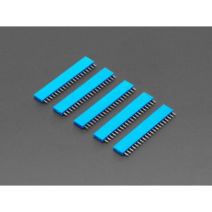 20-pin 0.1 Female Header - Blue - 5 pack