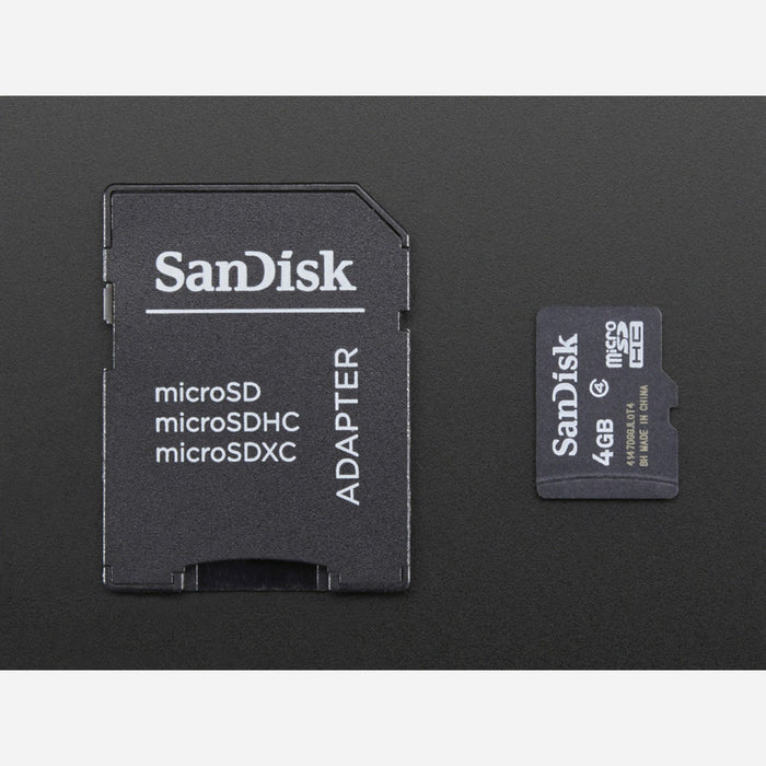 4GB Blank SD/MicroSD Memory Card