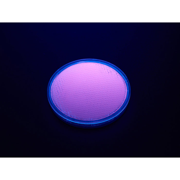 Fluorescent Pigment - Purple