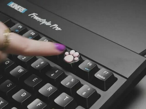 Black Aluminum Kitty Paw Keycap with Pink Silicone Toes