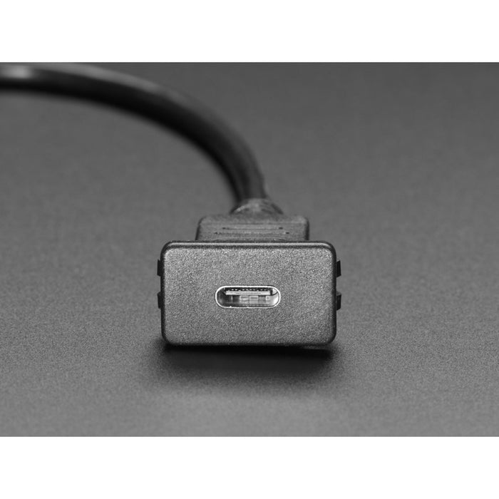 Snap-In Panel Mount Cable - USB C Socket to USB A Plug