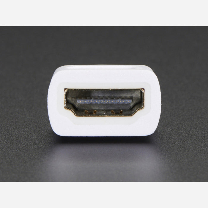 Mini HDMI Plug to Standard HDMI Jack Adapter