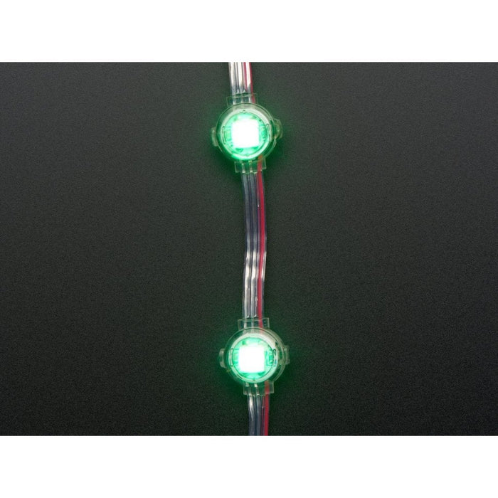 Adafruit NeoPixel LED Dots Strand - 20 LEDs at 2 Pitch