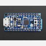 Adafruit Pro Trinket - 5V - Image 1