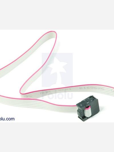 6-Conductor Ribbon Cable with IDC Connectors 12