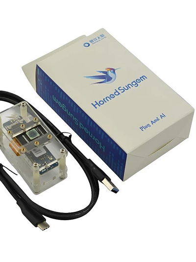 Horned Sungem Artificial Intelligence Vision Kit V1.0