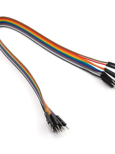 10 pin splittable jumper wire - 300mm  M/M