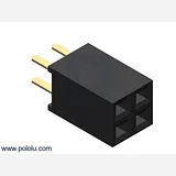 0.100 (2.54 mm) Female Header: 2x2-Pin, Straight - Image 1