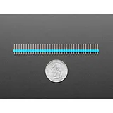 Break-away 0.1 36-pin strip male header - Blue - 10 pack - Image 3