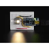 NeoPixel RGBW LEDs w/ Integrated Driver Chip - Warm White [~3000K - Black Casing - 10 Pack] - Image 3
