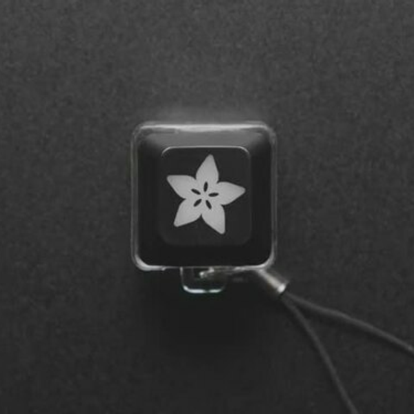 Light Up Key Switch Keychain - White LED