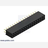 0.100 (2.54 mm) Female Header: 2x16-Pin, Straight - Image 1