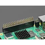 GPIO Female Socket Riser Header - 2x2 4-pin - Image 2