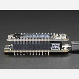 Short Feather Male Headers - 12-pin and 16-pin Male Header Set - Image 3