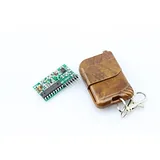 315M RF Controller Kit - Image 1