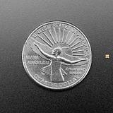 NeoPixel Addressable 1111 LEDs (1.1mm x 1.1mm) - 50 Strip - Image 5
