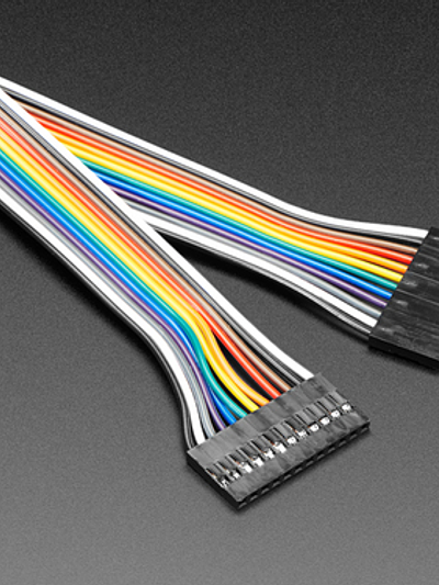 2.54mm 0.1" Pitch 12-pin Jumper Cable - 20cm long
