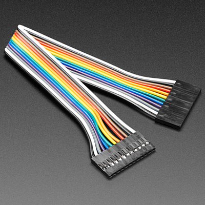 2.54mm 0.1" Pitch 12-pin Jumper Cable - 20cm long