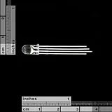 LED - RGB Common Cathode (pack of 5) - Diffused - Image 11