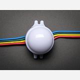 30mm Dots - 12V Digital RGB LED Pixels (Strand of 20) [WS2801] - Image 3